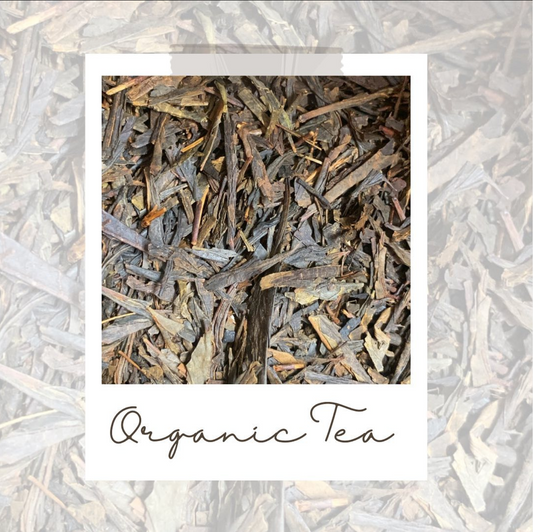 Kombucha Tea | Organic Ingredients | Moocha Kombuha