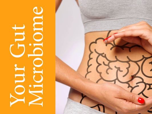 What Is The Gut Microbiome | What Does It Do | The Gut Brain Connection