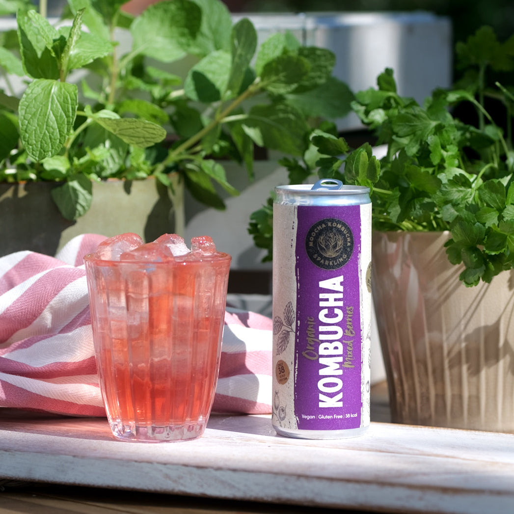 Summer Sun - Box of 20 Cans for £40