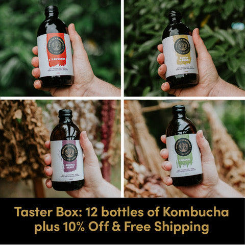 Taster Box: 3 Original, 3 Lemon & Ginger, 3 Aronia Berry & 3 Strawberry