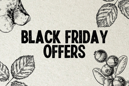 Moocha Kombucha Black Friday Deals