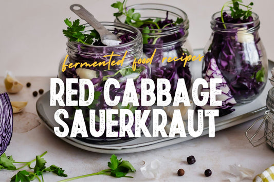 Homemade Red Cabbage Sauerkraut