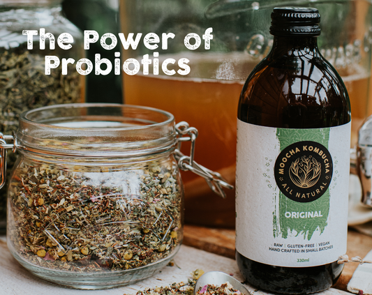 The Power of Probiotics: Your Guide to Gut Health with Moocha Kombucha