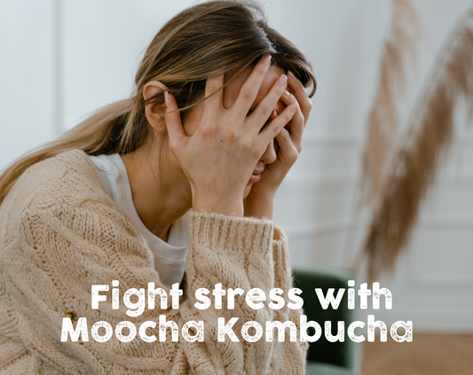Mindful Sips: Nurturing Your Gut for a Stress-Free You with Moocha Kombucha
