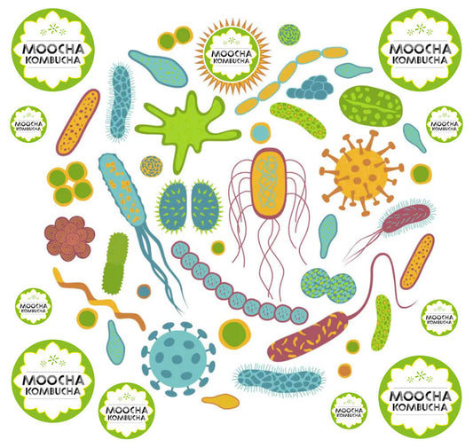 Top 6 probiotic foods & drinks to help create a healthy gut