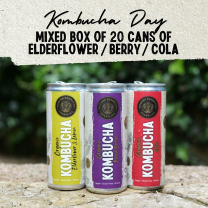 Elderflower / Berry / Cola – Only £35 | Kombucha Day Offer