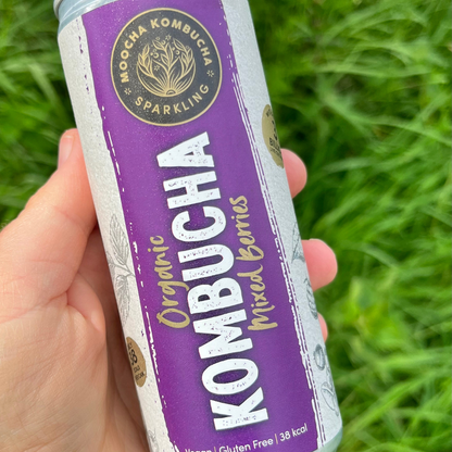 Organic Mixed Berry Flavour Canned Kombucha