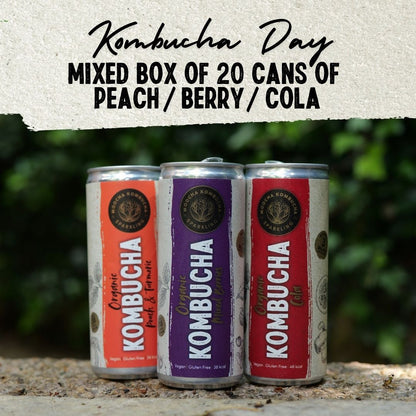 Peach / Berry / Cola – Only £35 | Kombucha Day Offer