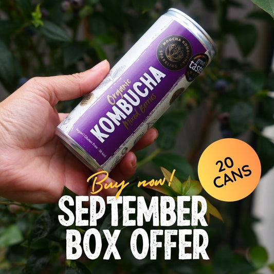 20 Cans of Mixed Berries | Only £38 | September Offer