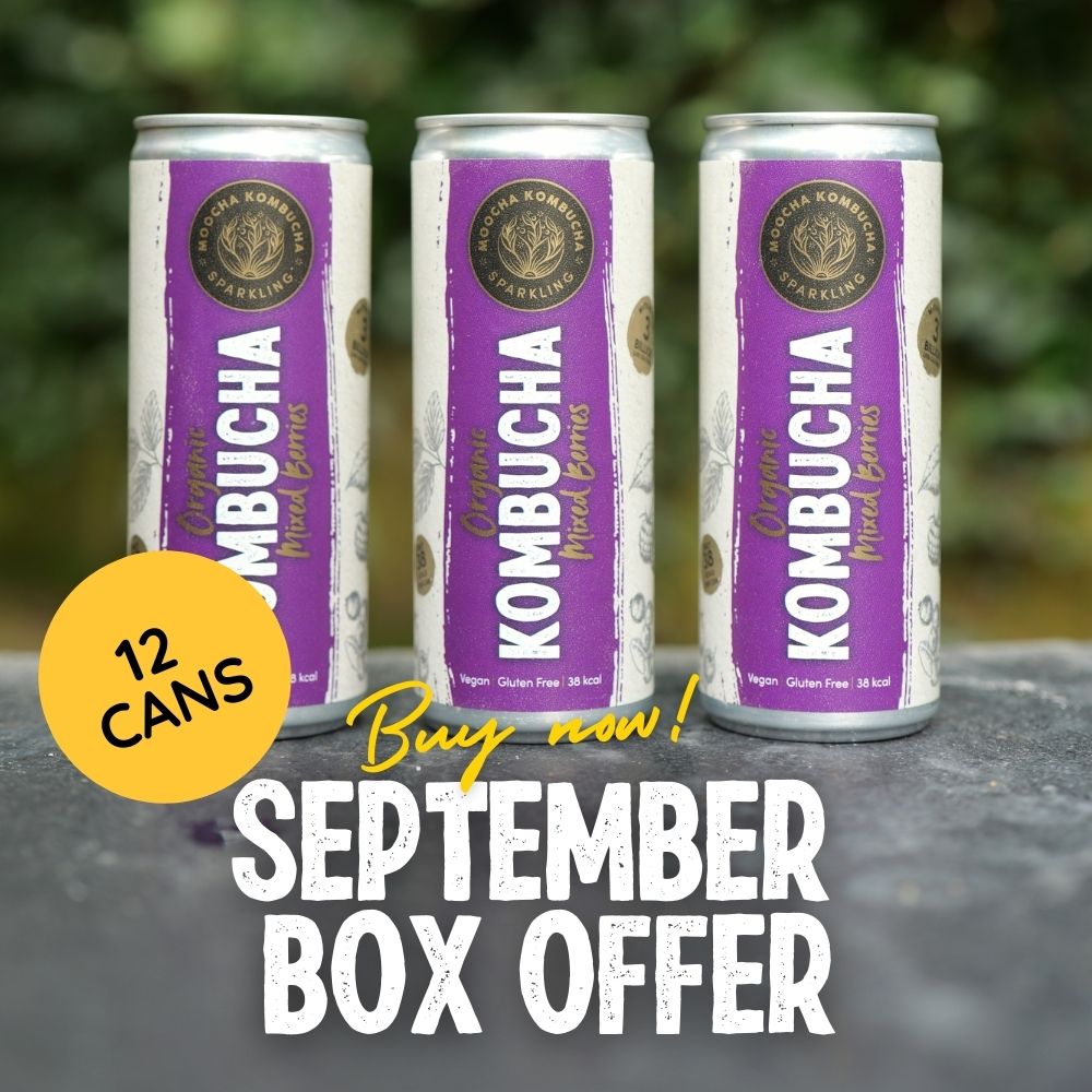 12 Cans of Mixed Berries | Only £24 | September Offer