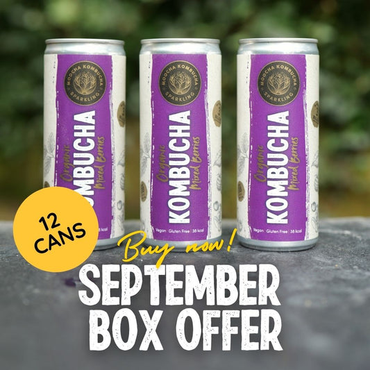 12 Cans of Mixed Berries | Only £24 | September Offer