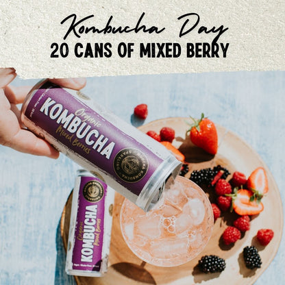 20 Cans of Mixed Berry Flavour | Only £35 | Kombucha Day Sale