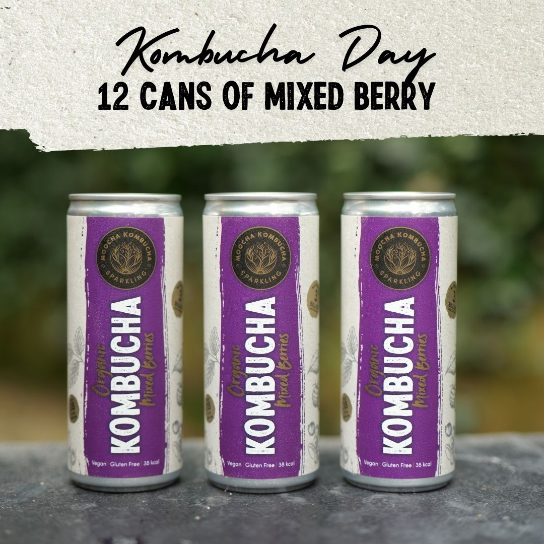 12 Cans of Berry Flavour | Only £18 | Kombucha Day Deal