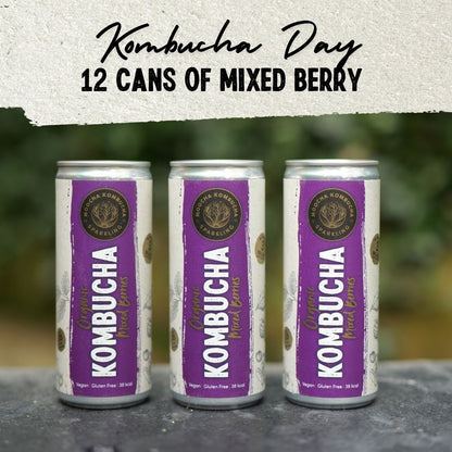 12 Cans of Berry Flavour | Only £18 | Kombucha Day Deal