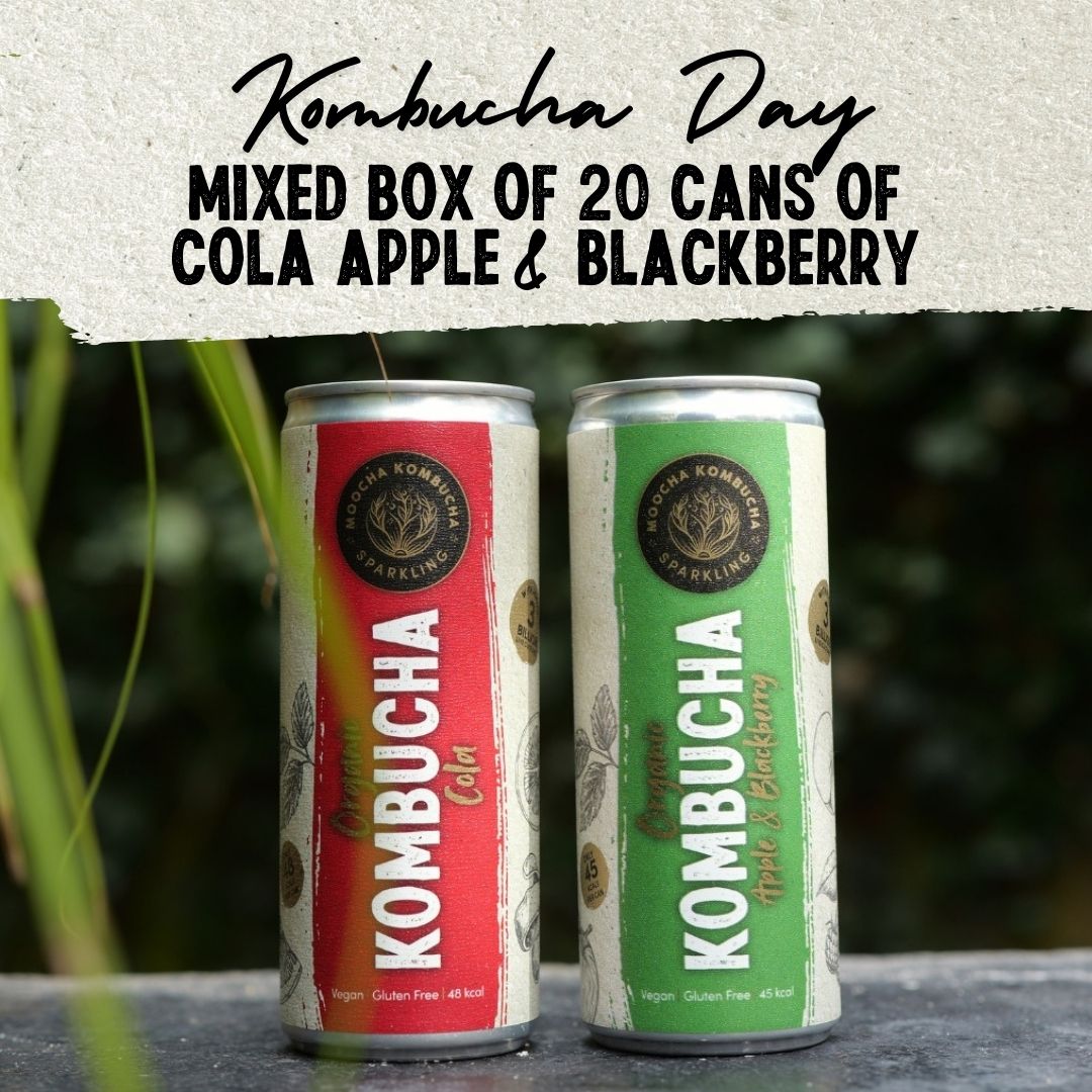 Cola | Apple & Blackberry Flavour | Only £35 | Kombucha Day Sale