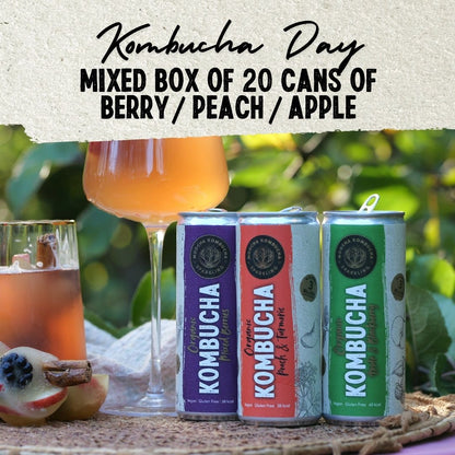 Berry / Peach / Apple | Only £35 | Kombucha Day Offer