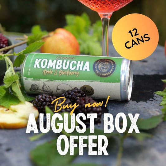 Kombucha can with a cocktail glass filled with red liquid on a natural background, promoting an August Box offer.