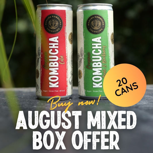 Two kombucha cans with promotional text for a mixed box offer on a natural background

