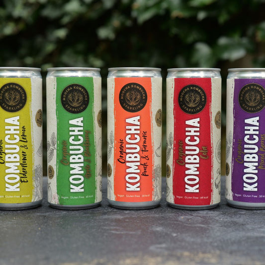 cans of moocha kombucha lined up in a row