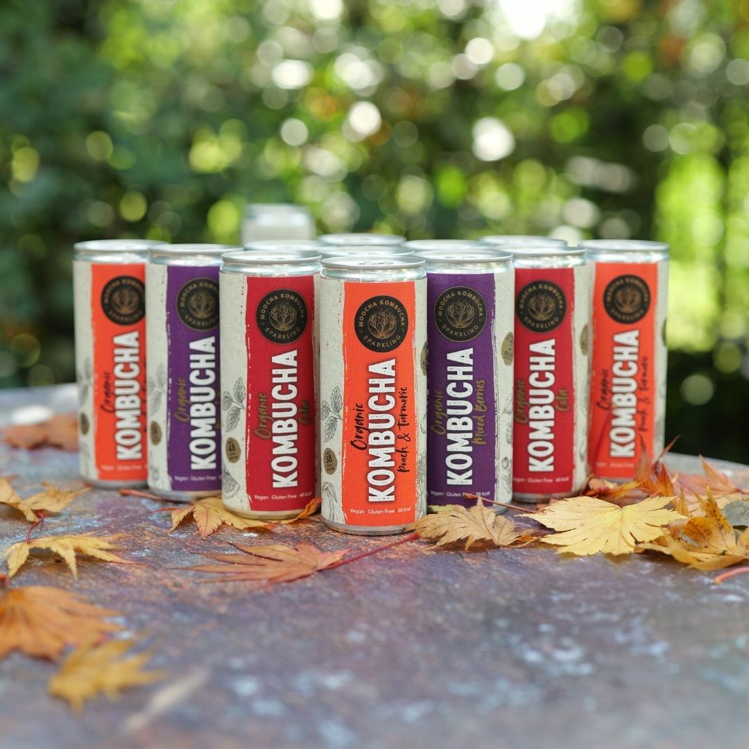 Mix & Match – 12 Cans + 2 Well Blend