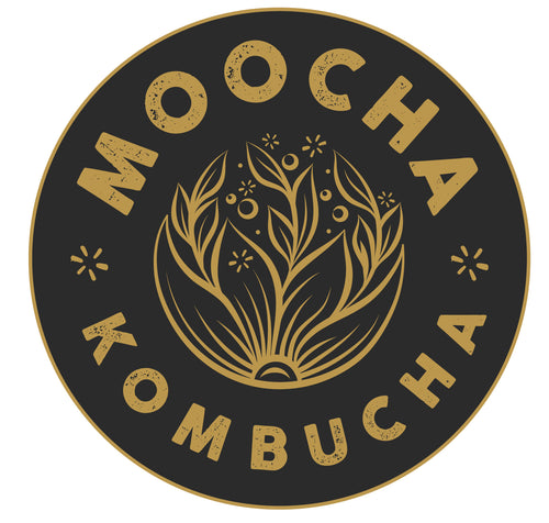 Moocha Kombucha