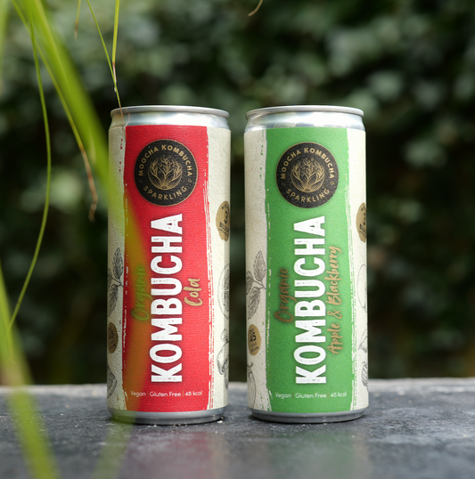 Cans of cola kombucha and cans of apple and blackberry kombucha with a natural leaf background