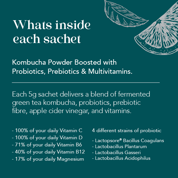 Moocha Well Blend - Elderflower & Mint Kombucha Powder