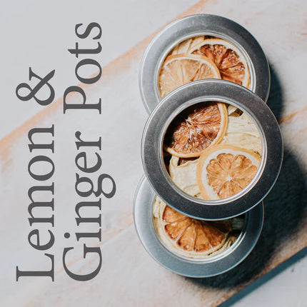 Brew Pot: Lemon & Ginger