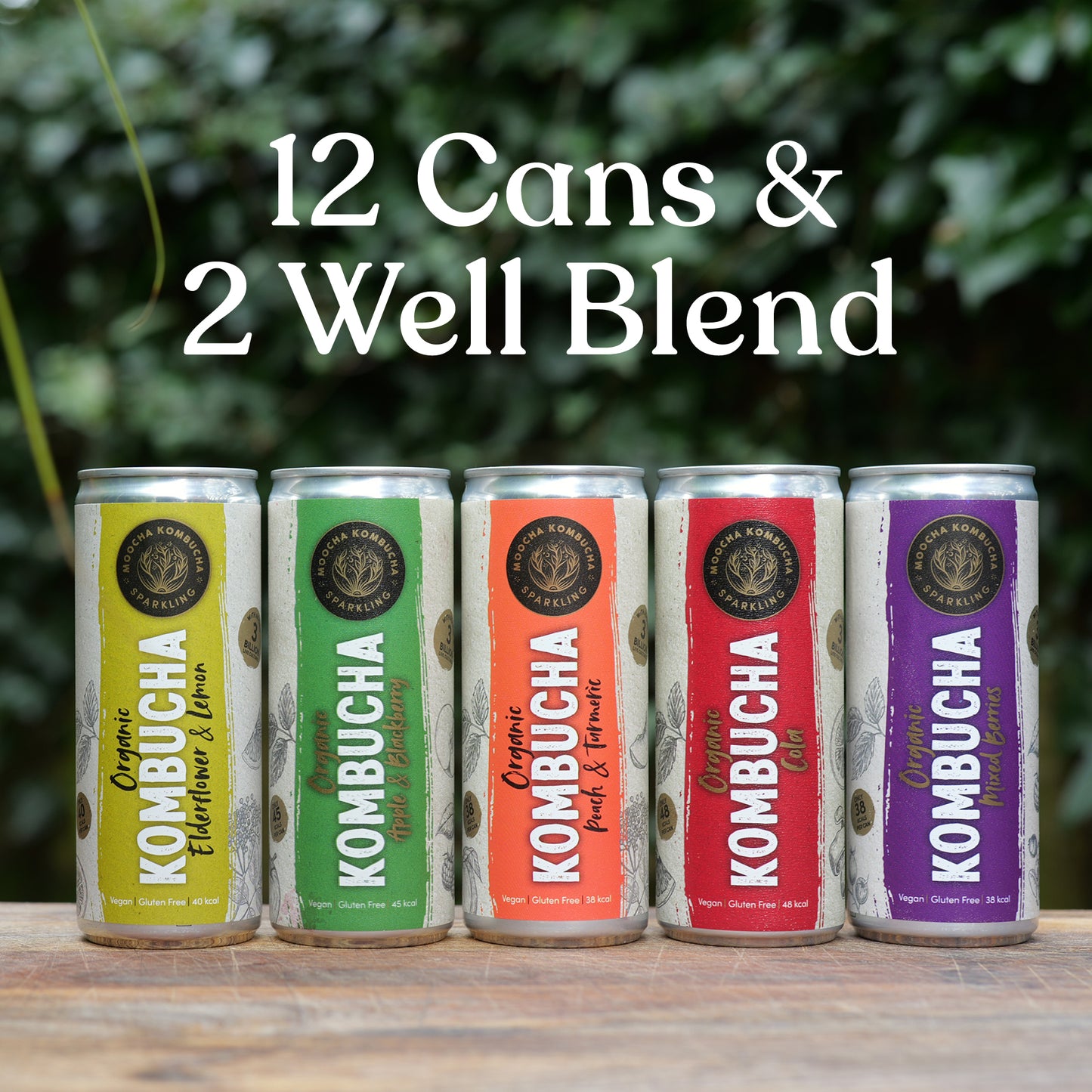 Mix & Match – 12 Cans + 2 Well Blend