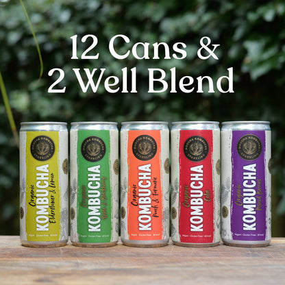 Mix & Match – 12 Cans + 2 Well Blend