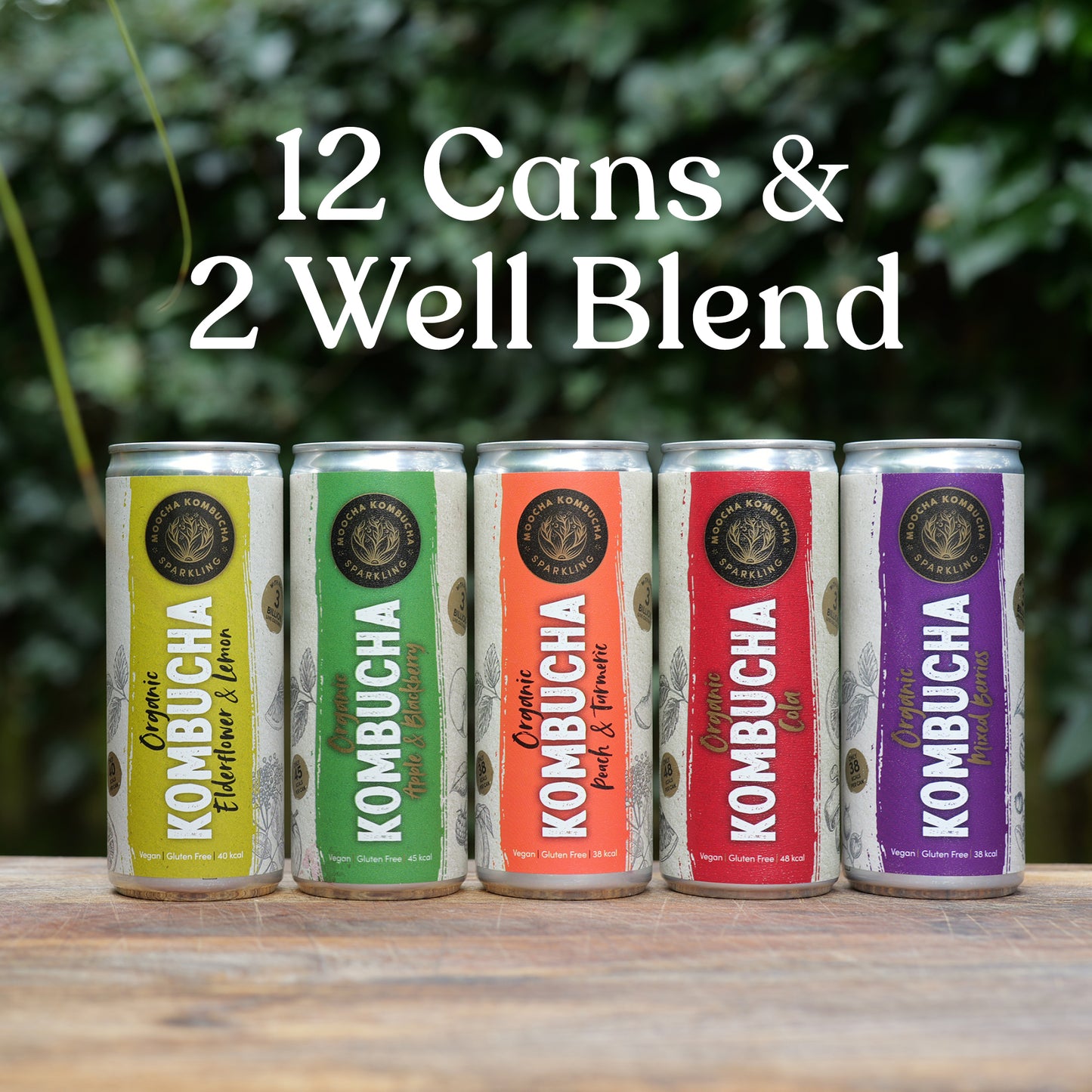 Mix & Match – 12 Cans + 2 Well Blend