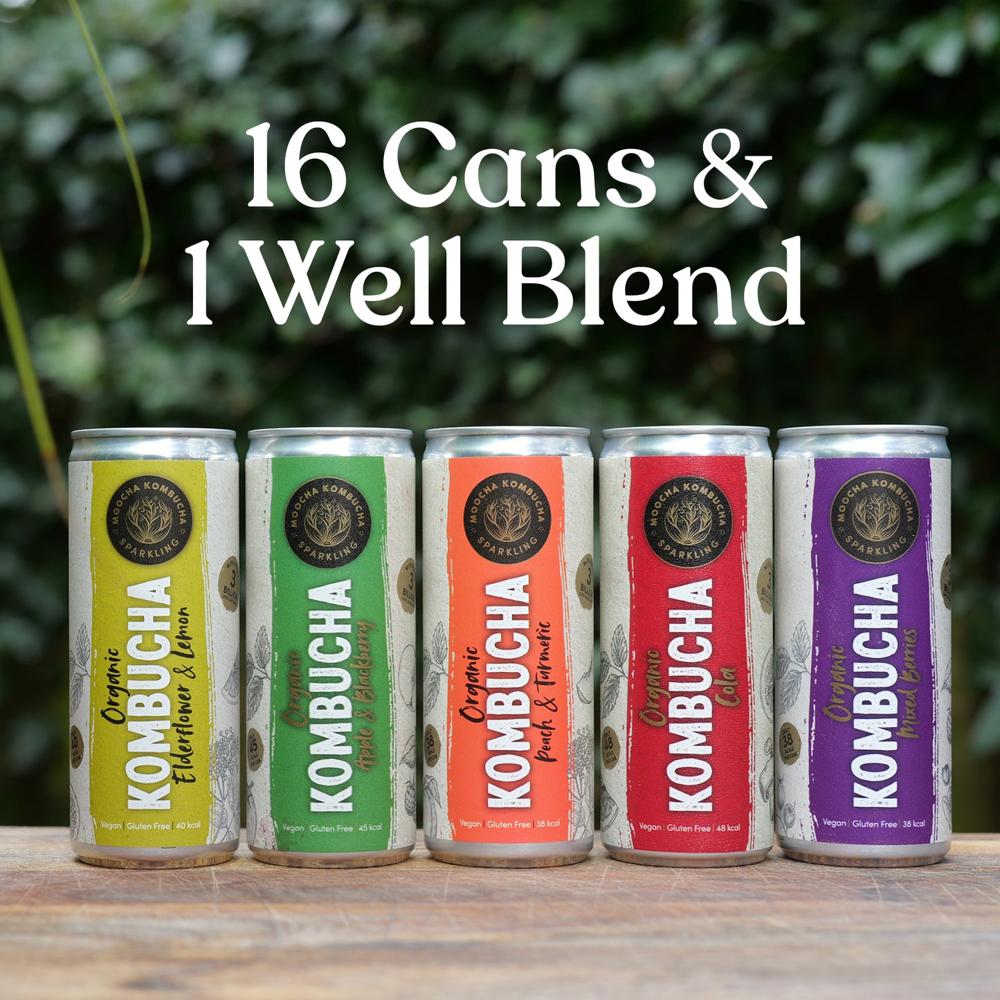 Mix & Match – 16 Cans + 1 WellBlend