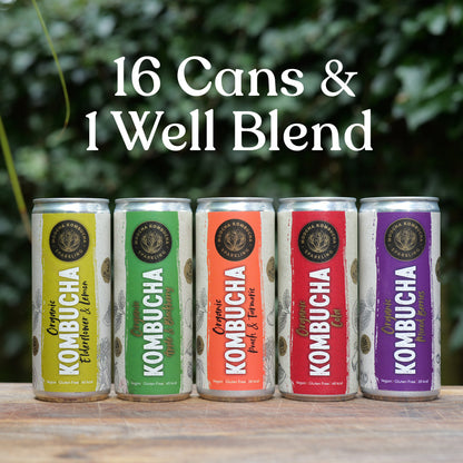 Mix & Match – 16 Cans + 1 WellBlend