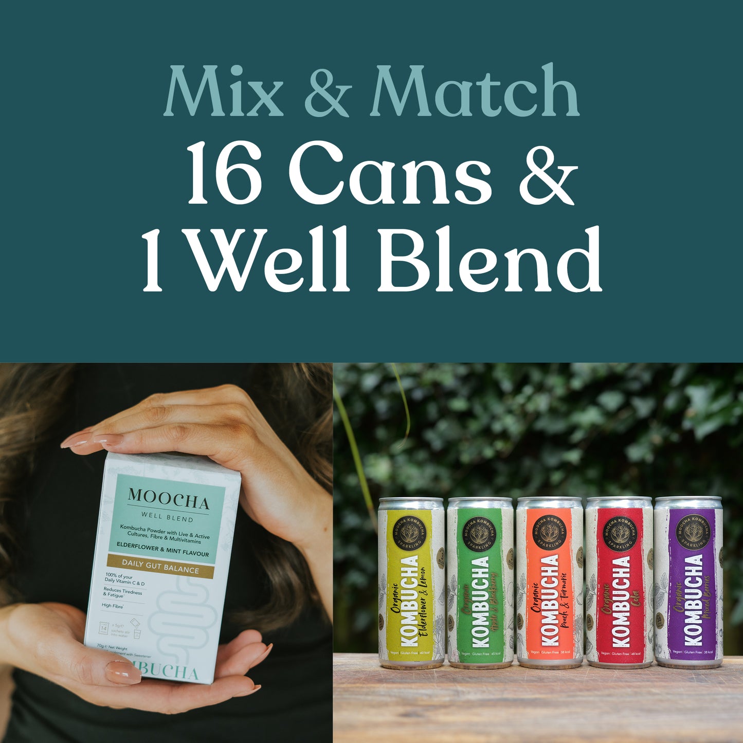 Mix & Match – 16 Cans + 1 WellBlend