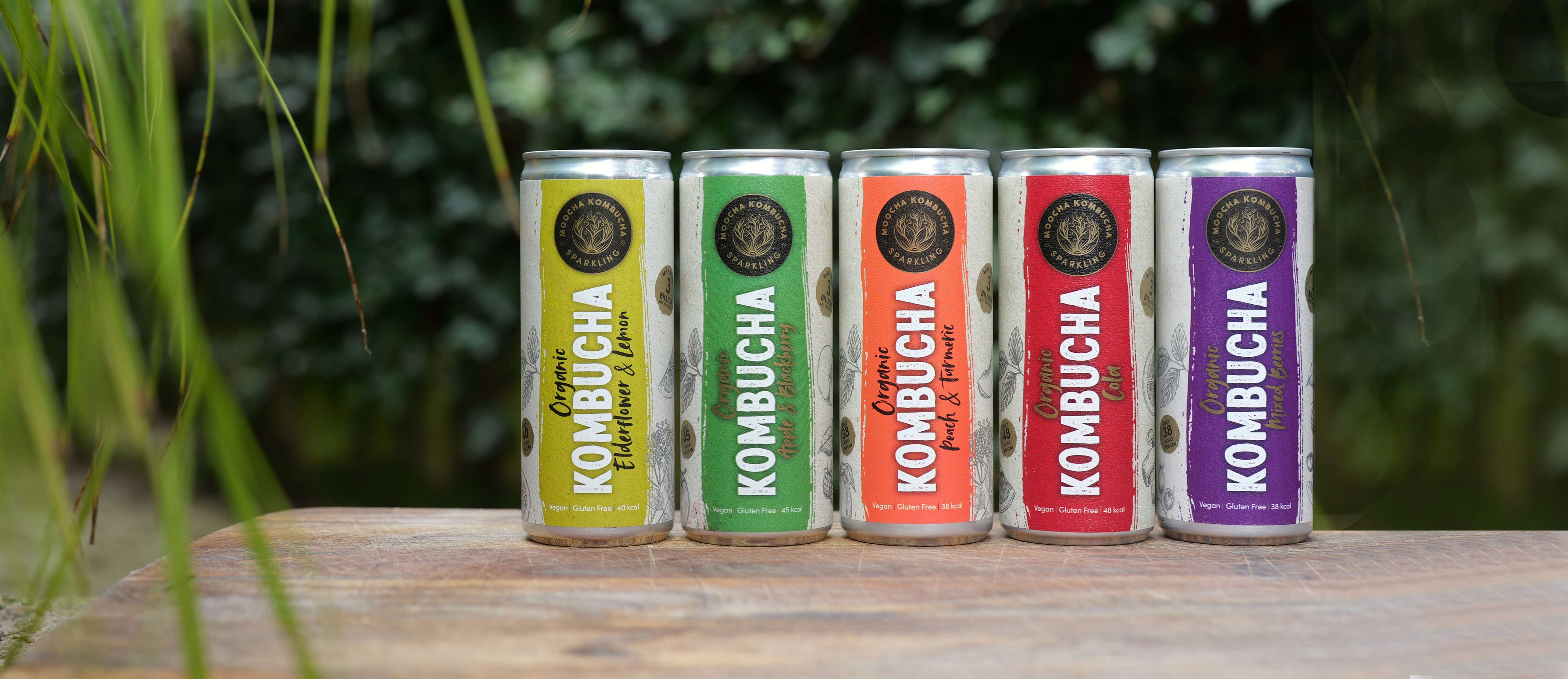 cans of brightly coloured cans of moocha kombucha sitting on a wooden table with greenery in the background.