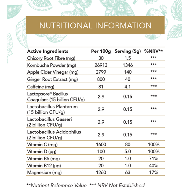 Well Blend Bundle: 1 box Elderflower & Mint / 1 box Lemon & Ginger