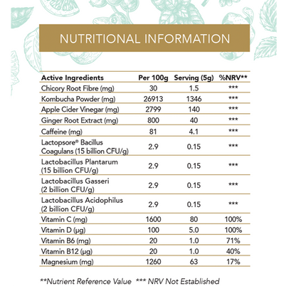 Well Blend Bundle: 1 box Elderflower & Mint / 1 box Lemon & Ginger