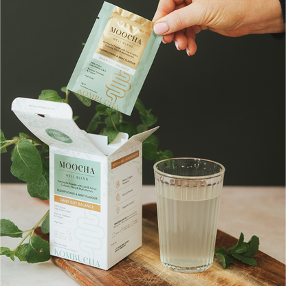 Well Blend Bundle: 1 box Elderflower & Mint / 1 box Lemon & Ginger