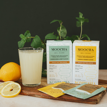 Moocha Well Blend - Lemon & Ginger Kombucha Powder