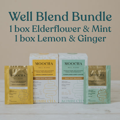 Well Blend Bundle: 1 box Elderflower & Mint / 1 box Lemon & Ginger